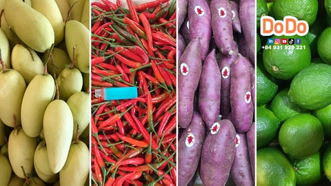 ประเทศไทยกำหนดให้ผลิตภัณฑ์เกษตรนำเข้าต้องได้รับการรับรองมาตรฐาน ISO 22000:2018