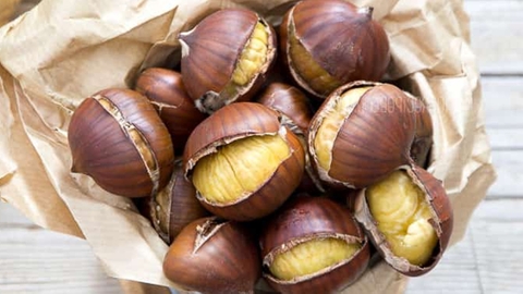 HẠT DẺ NHẬP KHẨU VÀ PHÂN PHỐI 2026