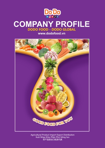CÔNG TY CỔ PHẦN DODO GLOBAL (Giới Thiệu Về Công Ty DODO FOOD)