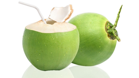 越南柚子出口- Vietnam Coconut exporting