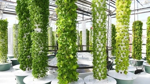 Smart Farming