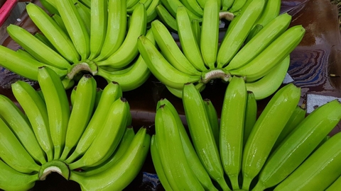 Lễ xuất khẩu 220 tấn chuối Đồng Nai