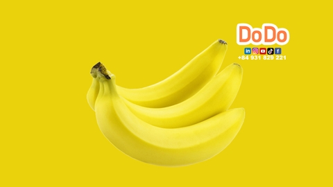 Vietnam's Banana Export Industry Overview-越南香蕉出口- Xuất khẩu Chuối