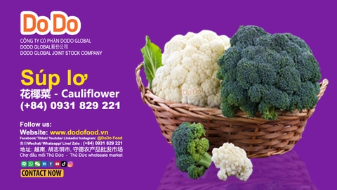 Cách chế biến súp lơ ngon miệng - Cauliflower -花椰菜