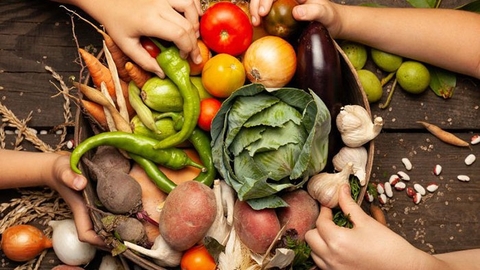 Nông sản là gì? Phân loại và xu hướng phát triển nông sản Việt Nam 2025