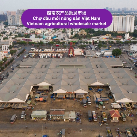 越南农产品批发市场 - Vietnam Agricultural Wholesale Market