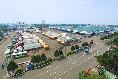 TỔNG QUAN CHỢ ĐẦU MỐI NÔNG SẢN THỦ ĐỨC, MỘT TRONG BA CHỢ ĐẦU MỐI LỚN NHẤT TP.HCM