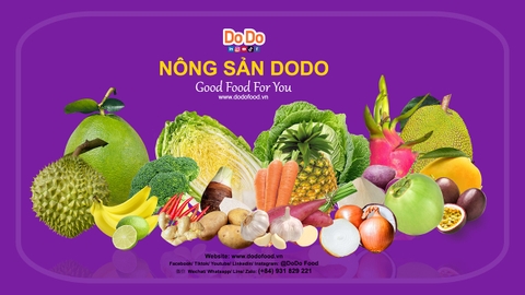 Xuất khẩu nông sản Việt giữ vững đà tăng trưởng – Dodo Food chủ động nguồn hàng nhập khẩu từ Trung Quốc và Indonesia