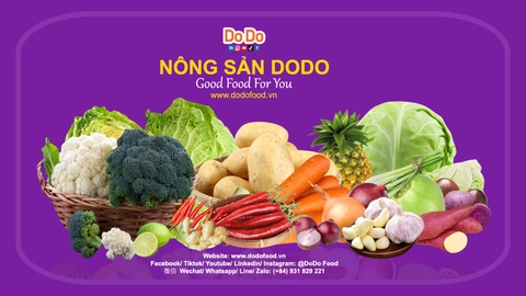 Ăn sạch, sống xanh cùng Dodo Food.