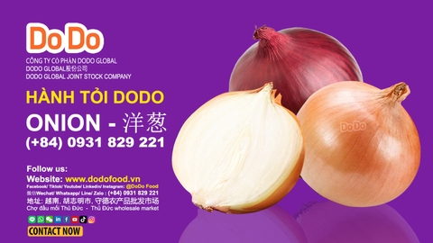 Hành Tây Trung Quốc