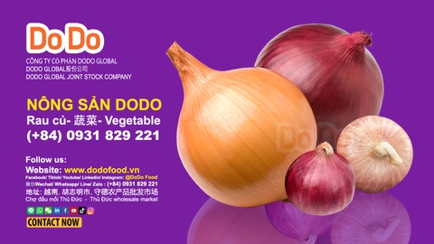 Global Onion Distributor