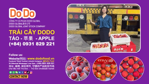 CÔNG TY CỔ PHẦN DODO GLOBAL NHẬP KHẨU VÀ PHÂN PHỐI TÁO
