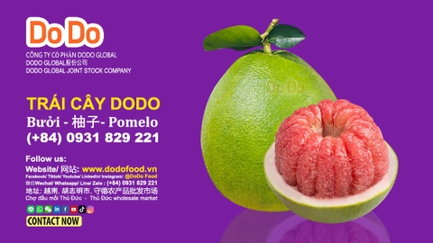 Vietnam Pomelo Exports