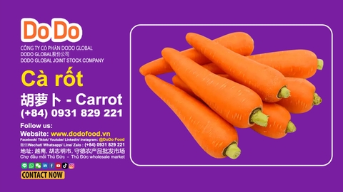 Carrot Health Benefits and Nutritional