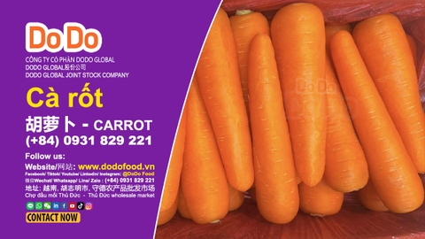 Carrot Benefits