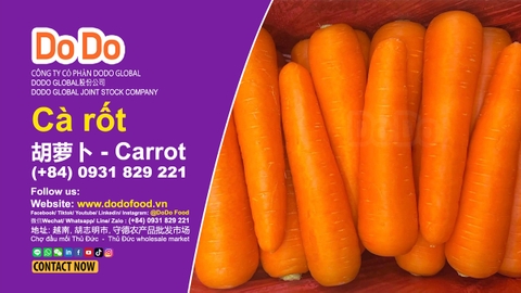 中国胡萝卜出口- China's carrot exports