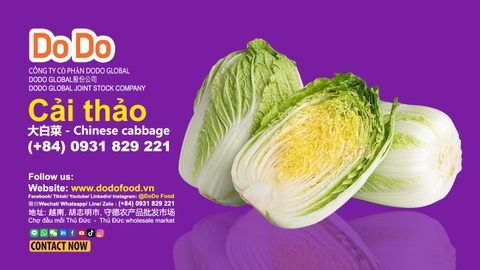 Napa Cabbage Benefits