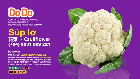 Cauliflower Benefits
