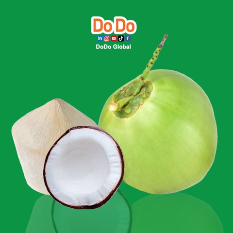 Vietnam's Coconut Export Industry Overview