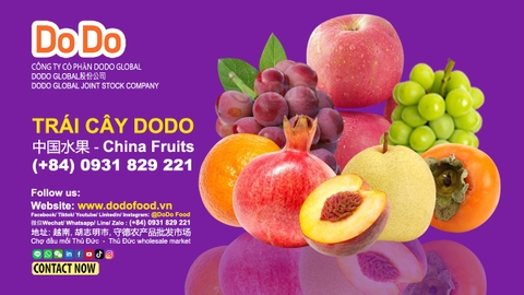 中国出口水果到越南- China exports fruit to Vietnam