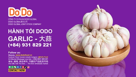 Tỏi Trung Quốc: Quy trình sản xuất và xuất khẩu