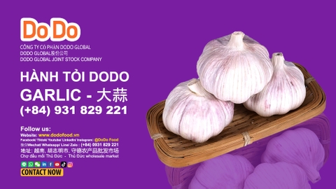 Công dụng của tỏi trong làm đẹp bạn phải biết ngay