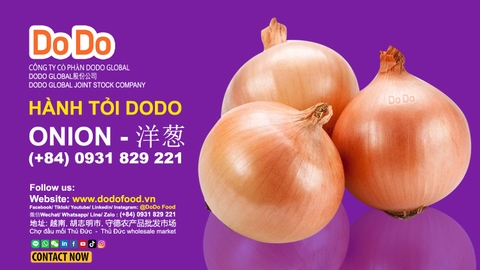Hành tây củ tươi ngon, giá cả cực tốt tại DODO FOOD