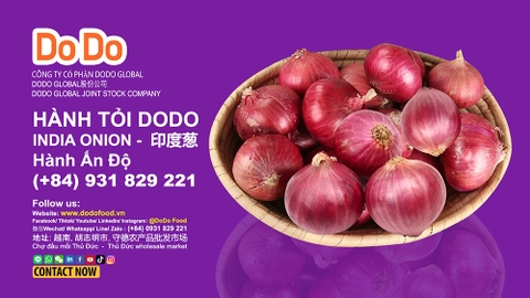 India Onion: Culinary Staple, Political Flashpoint