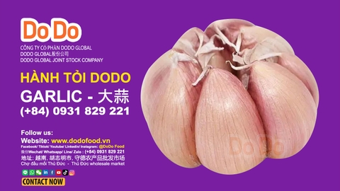 Ăn tỏi sống có tác dụng gì?