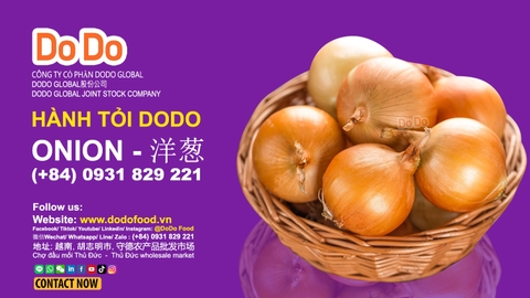 Tác dụng và cách chế biến hành tây