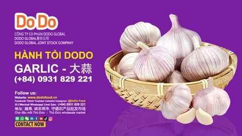 China garlic season 2026 overview