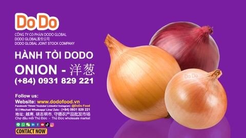 洋葱怎么使用, 烹饪技巧- How to use onion, cooking tips