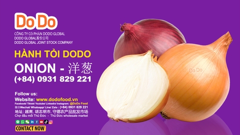 Onion Health Benefits and Culinary Uses