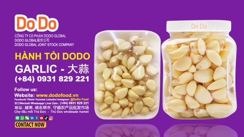 Frozen Peeled Garlic Vietnam