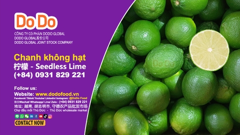 Chanh không hạt xuất khẩu chất lượng cao