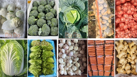 Rau củ Trung Quốc tại chợ đầu mối Hồ Chí Minh