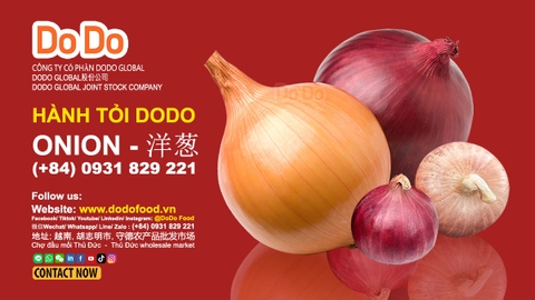 Onion Health Benefits and Nutrition Overview