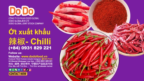 Vietnam red chilli exports - 越南辣椒出口现状与前景分析 -การส่งออกพริกของเวียดนาม