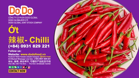 Giá ớt hôm nay- DODO GLOBAL
