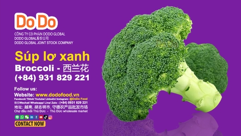 Broccoli Benefits