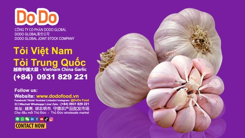 Cách phân biệt tỏi Trung Quốc và Việt Nam
