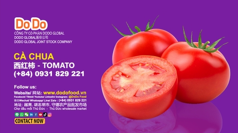 Tomato Health Benefits