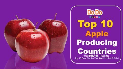 Top 10 apple producing countries
