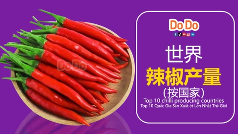 世界辣椒产量（按国家）Top 10 chilli producing countries