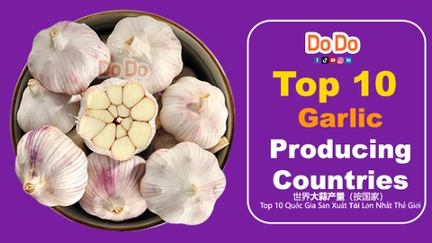 Top 10 garlic producing countries | DODO FOOD