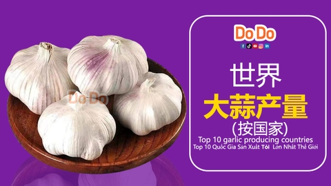 世界大蒜产量（按国家) - Top 10 garlic producing countries