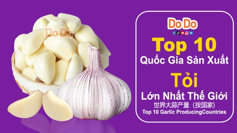 Top 10 Quốc Gia Sản Xuất Tỏi Lớn Nhất Thế Giới