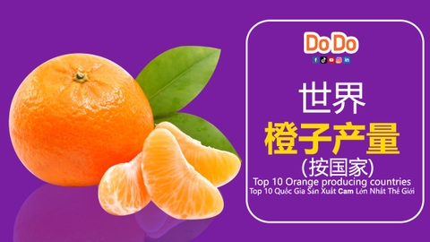 世界橙子产量（按国家) -Top 10 Orange producing countries