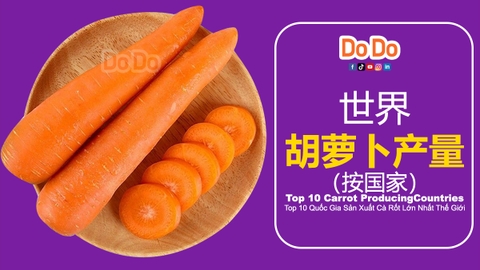 世界胡萝卜产量（按国家）- Top 10 carrot producing countries
