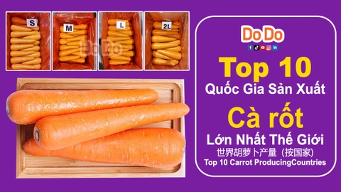 Top 10 Quốc Gia Sản Xuất cà rốt Lớn Nhất Thế Giới